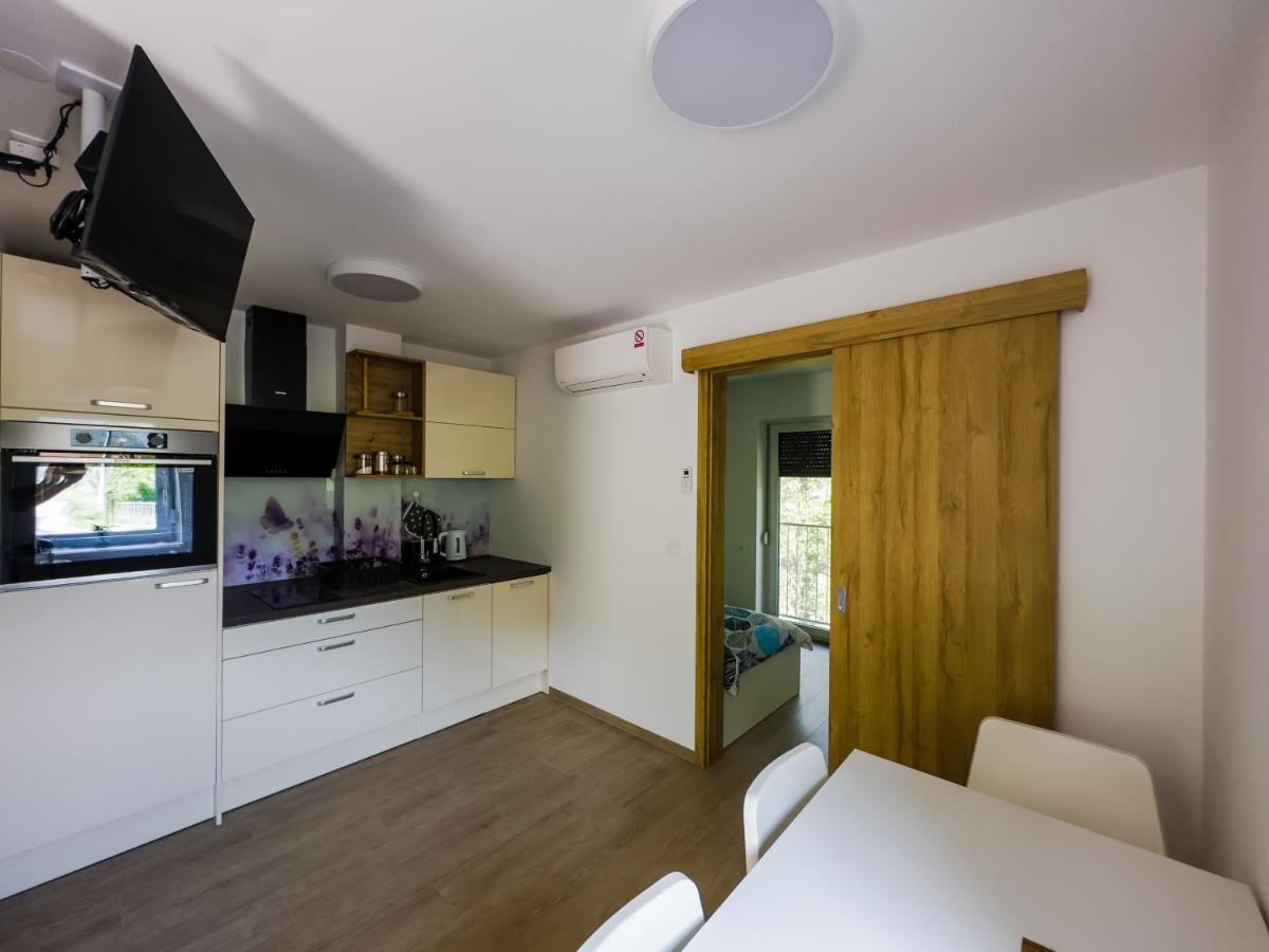 Apartmaji Silva Slap ob Idrijci Exterior foto
